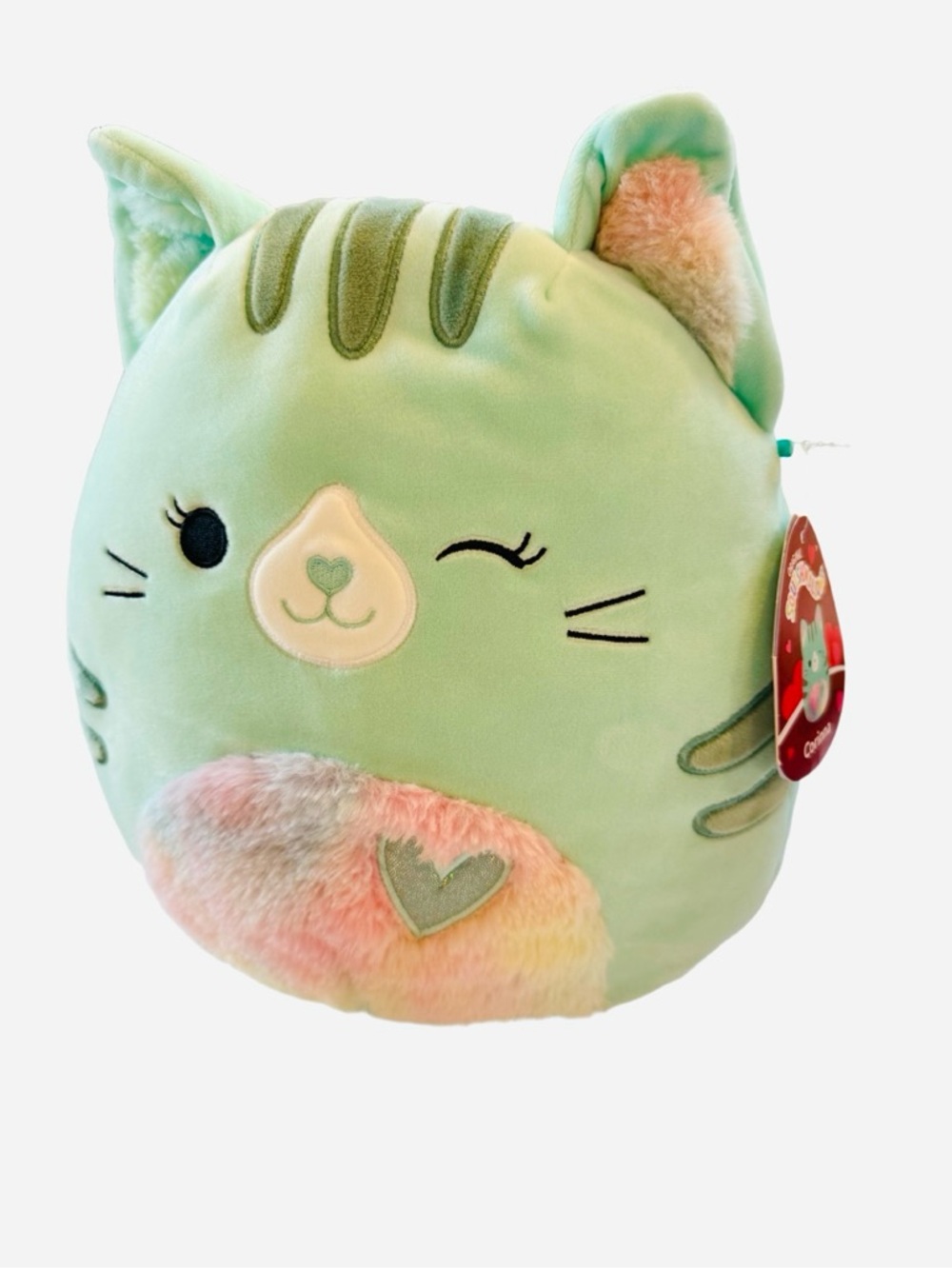 Squishmallows Mint Green Cat Plush Corinna